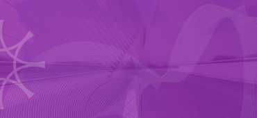 Lynx layered bridge image